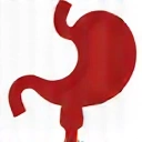 Ícono de trastornos gastrointestinales